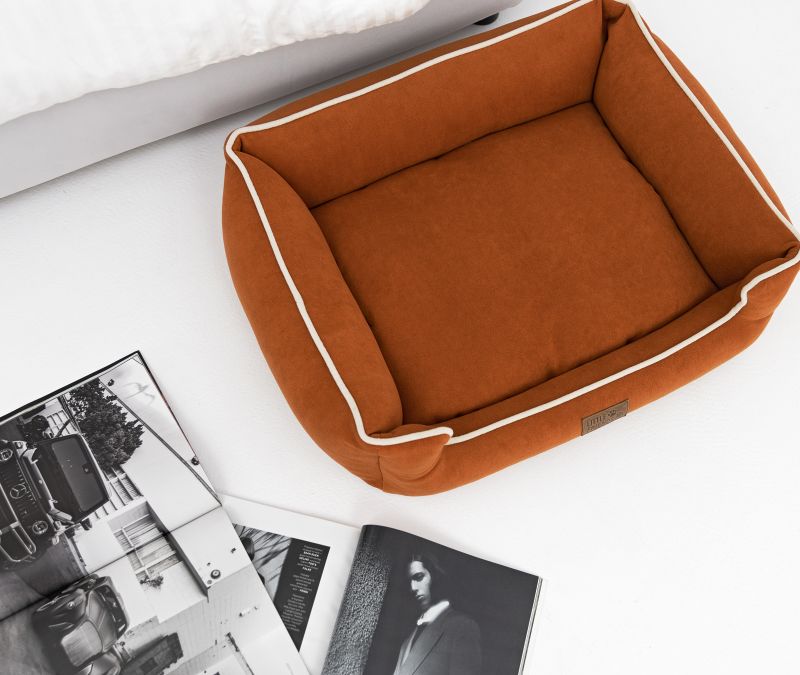 Для чого собакам потрібні лежанки?  